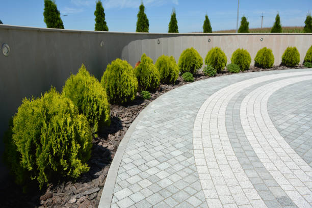 Best Driveway Paving Contractor  in Wauseon, OH